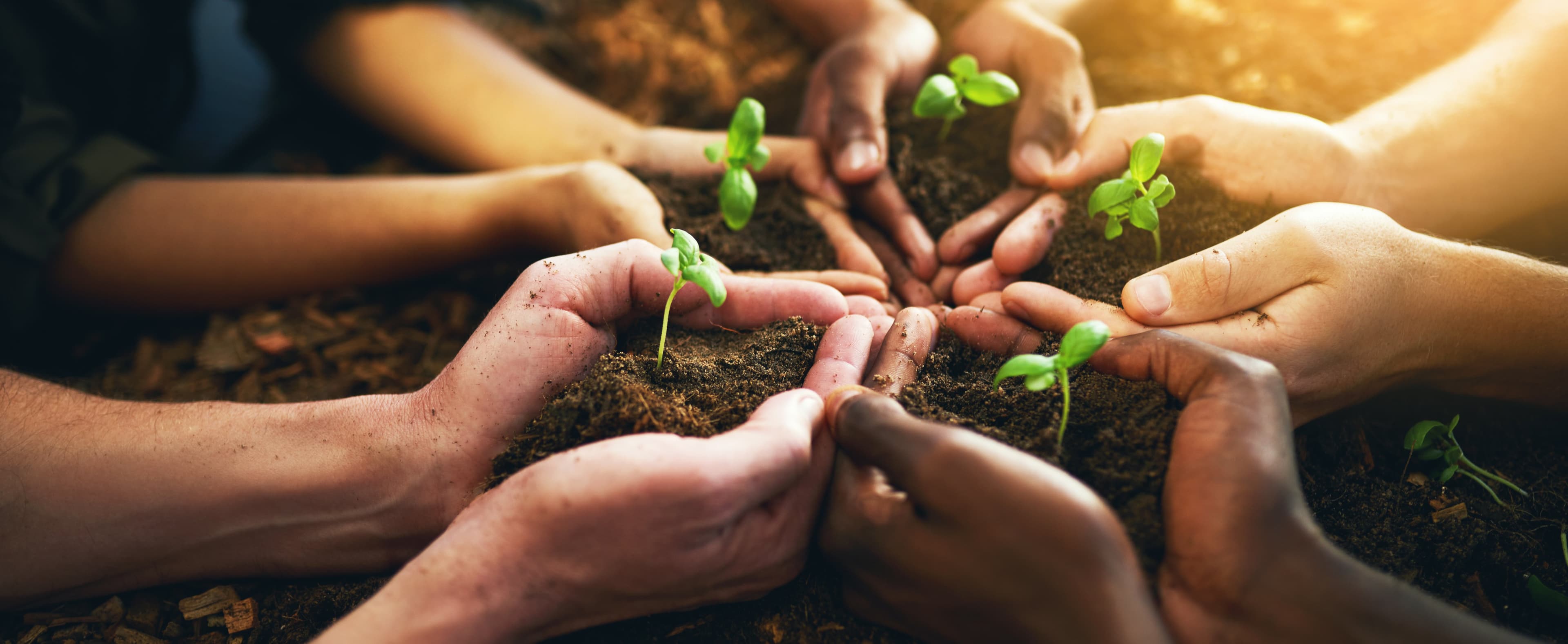 Corporate Social Responsibility